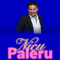 Povestea cu Leana si Costel - Nicu Paleru