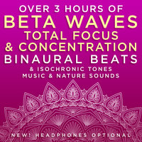 Heightened Sensory Perception - 25.9 Hz Beta Frequency Binaural Beats - Binaural Beats Research & David & Binaural Beats Research, David & Steve Gordon