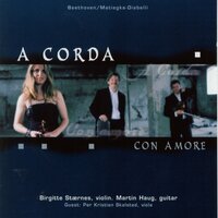 Allegro Moderato - A Corda