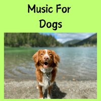 Soothing Relief - Music for Dogs & Music for Dogs Peace & Relaxing Puppy Music & Calm Pets Music Academy