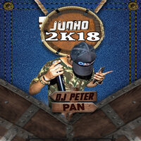 Foi Amor - Dj Peter Pan