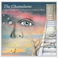 As High as You Can Go - The Chameleons