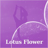 Nature Sounds - Yin Yoga Music Collection