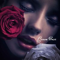 Love Story - Canzoni Tristi Collection