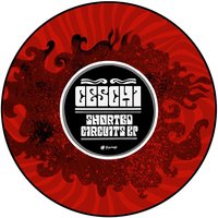 Half Mast - Ceschi