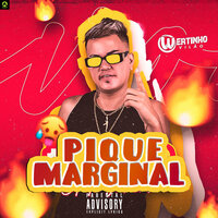 Pique Marginal - Wertinho Vilão & Niel No Beat