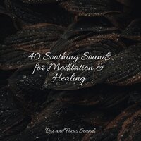 Campsite Winddown - Ambient Music Therapy & Relaxed Minds & Powerthoughts Meditation Club