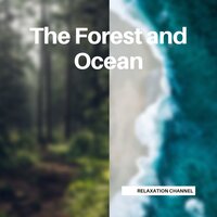 Rain in the Amazon (Loopable) - Nature Sounds & Relaxation Channel & Loopable Sleep Sounds for Baby