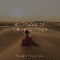 Zen Beach Waves - Relaxing Sleep Music & Shakuhachi Sakano & Binaural Beats Brain Waves Isochronic Tones Brainwave Entrainment