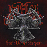 Shock and Awe - Impaled Nazarene