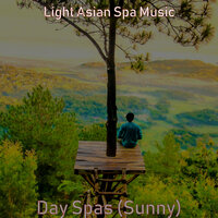 Day Spas - Ambience - Light Asian Spa Music