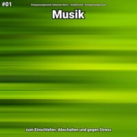Musik Teil 62 - Entspannungsmusik Sebastian Noiro & Schlafmusik & Entspannungsmusik