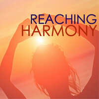 Catching Dreams - 101 Meditations