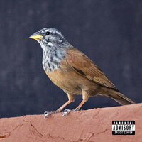 Younes (Intro) - Nessyou