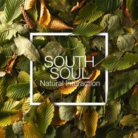 Piccadilly Club - South Soul