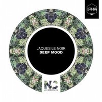 Vibrations - Jaques Le Noir