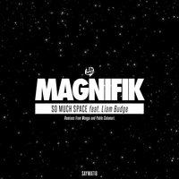 So Much Space - Magnifik & Liam Budge