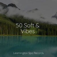 Lullaby - Baby Relax Music Collection & Entspannungsmusik Oase & Lush Rain Creators