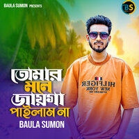 তোমার মনে জায়গা পাইলাম না - Baula Sumon