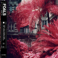 Exits - Foals