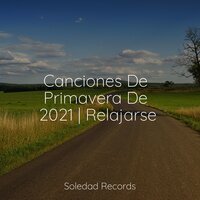 Al Otro Lado Del Cosmos - Relajante & Canciones De Cuna Para Dormir Bebes & Jazz Para Crianças
