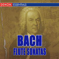 Sonata for Flute in E Major, BWV 1035: III. Siciliano - Milos Jurkovic & Zuzana Ruzickova & Johann Sebastian Bach