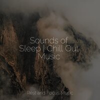 Sunset Lover - Música de la Naturaleza & Deep Relaxation Meditation Academy & Academia de Música para Massagem e Relaxamento