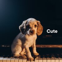 Laze - Dog Music Club & Sleepy Dogs & Dog Relaxation