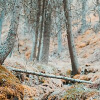 Oasis Wonders - Spa Chillout Music Collection & Rain and Nature & Relaxation Sleep Meditation