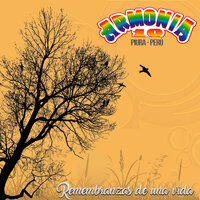 Porque Perdonar - Armonia 10