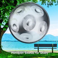 Peaceful Songs (Waikato) with Slow Rain - Relaxing Hang Drum Nature