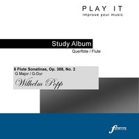 III. Scherzo: Vivo - Denette Whitter