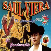 Juan Carrasco - Saul Viera El Gavilancillo