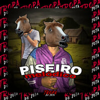 Piseiro Melódico - OFICIAL DJ MENOR JV & Mc Mendes 011