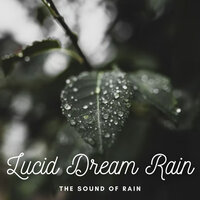 Thunderous - Thunderstorm & Rain Palace & Rainfall