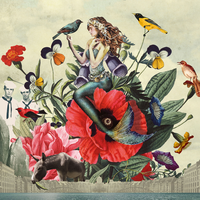 Appelboompjes - Noordpool Orkest & Janne Schra