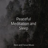 My High My Low - Sleeping Baby Songs & The White Noise Zen & Meditation Sound Lab & Smart Baby Lullaby