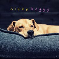 Self Interlude - Dog Music & Music for Dog's Ears & Sleeping Music For Dogs