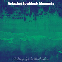 Sultry Moods for Vipassana - Relaxing Spa Music Moments