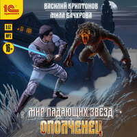 Василий Криптонов, Мила Бачурова. «Мир падающих звезд. Ополченец». Часть 18 - Денис Некрасов