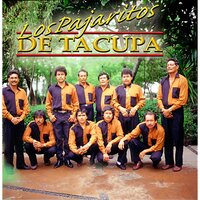 El Macho Tordillo - Los Pajaritos De Tacupa