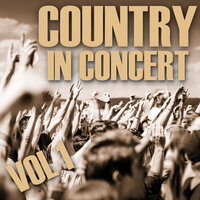 Drunk On A Plane - Dierks Bentley