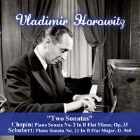 Piano Sonata No. 21 In B Flat Major, D. 960: II. Andante Sostenuto - Франц Шуберт & Владимир Горовиц