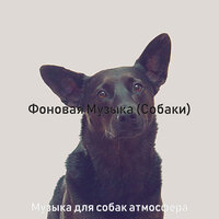 Созерцая (Выгул собак) - Музыка для собак атмосфера