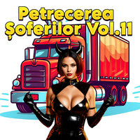TIGANIII - Petrecerea Soferilor