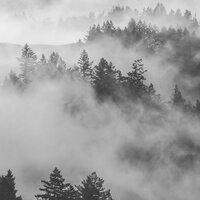 Serene (Relaxation) - Bright Harp Music