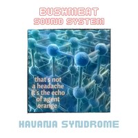 Guantanamo Conversion Disorder - Bushmeat Sound