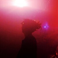 Pacified - Murphy's Horizon