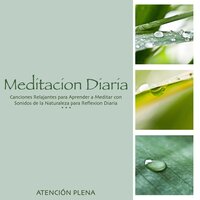 Flauta para Descansar - Atención Plena