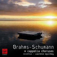 Der Schmied, op.145, No.1 - Accentus & Laurence Equilbey & Роберт Шуман